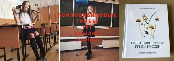 мдпв Верхний Тагил