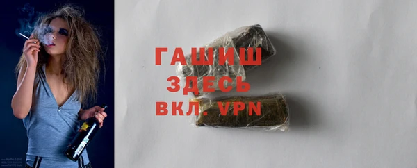 гидра Вяземский