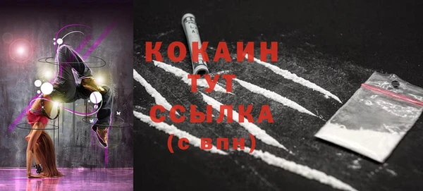гидра Вяземский