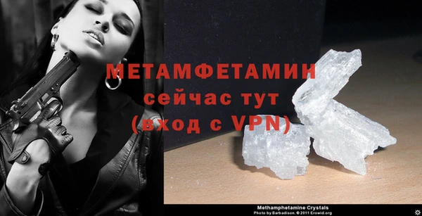 гидра Вяземский